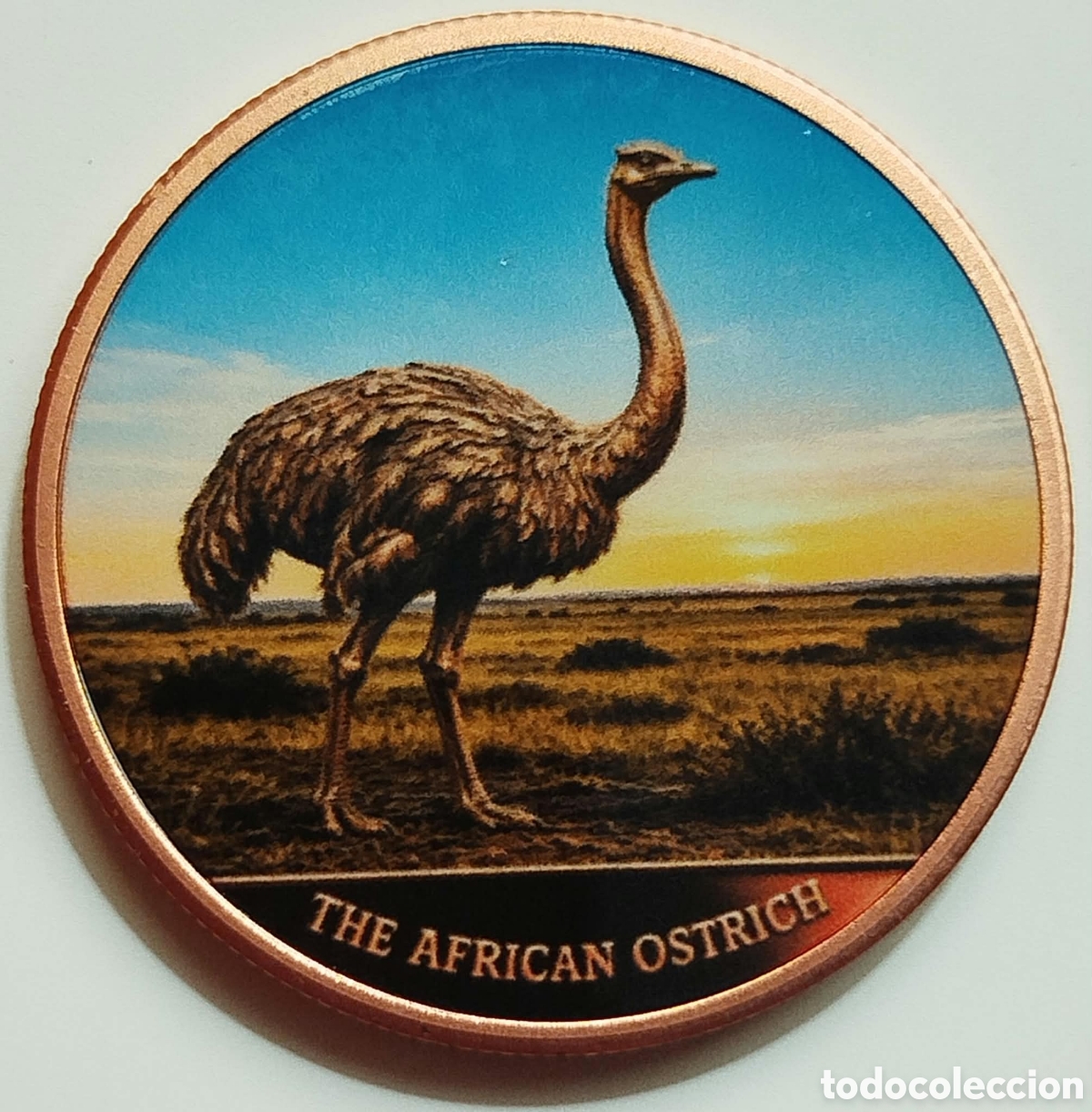 Troph&eacute;es et m&eacute;dailles: Moneda 1 Onza Cobre Avestruz Africana