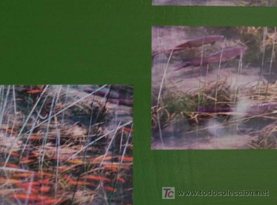 Otros objetos de arte: VERD - PAISAJE DE MATILDE MONTESINOS - Foto 2