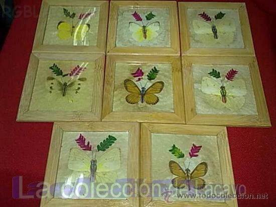 Otros objetos de arte: LOTE 8 MARIPOSAS A MANO CON HOJAS - Foto 1