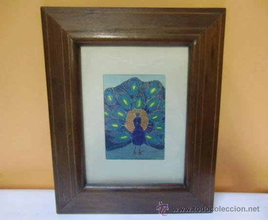 Otros objetos de arte: L&aacute;mina de Pavo Real. Enmarcado - Foto 1