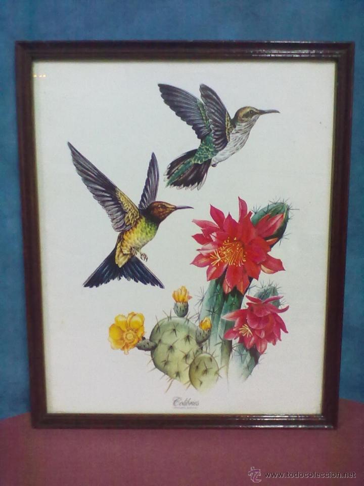 Otros objetos de arte: COLIBRIES LAMINA ENMARCADA - Foto 1