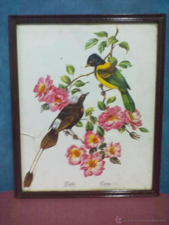 Otros objetos de arte: GALLITO Y QUIRUA LAMINA ENMARCADA - Foto 1
