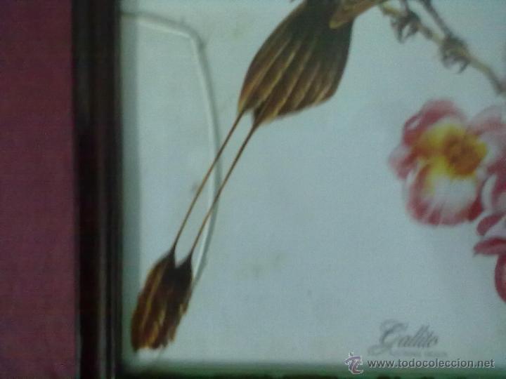 Otros objetos de arte: GALLITO Y QUIRUA LAMINA ENMARCADA - Foto 3