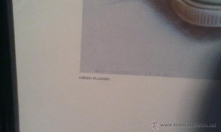 Otros objetos de arte: Dunlop green flashes obra de guy gladwell - Foto 2