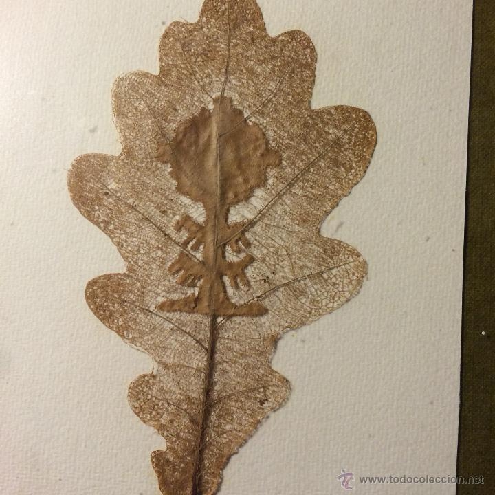 Otros objetos de arte: Hoja labrada y calada del &aacute;rbol de Guernica (1970) - Foto 1