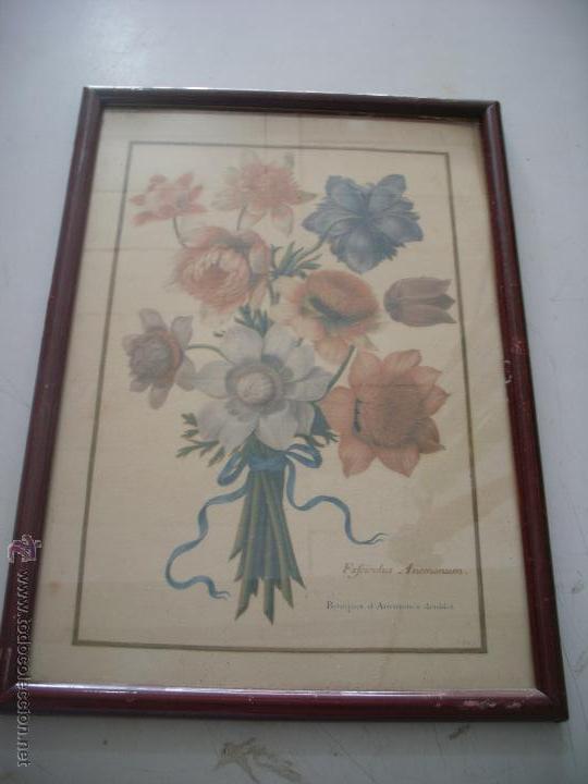 Otros objetos de arte: CUADRO ANTIGUO MOTIVO FLORAL - Foto 1