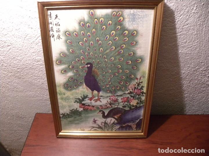 Otros objetos de arte: CUADRO PAVO REAL - Foto 1