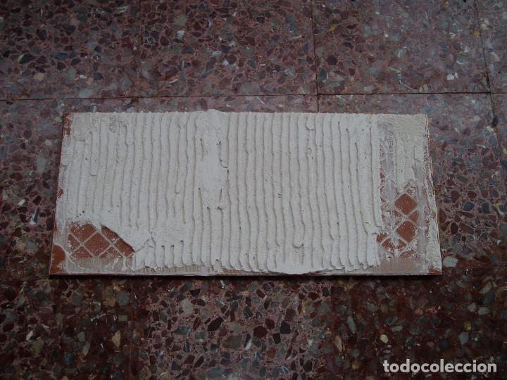 Otros objetos de arte: Baldosa grande con Delf&iacute;n 70 x 30 - Foto 2