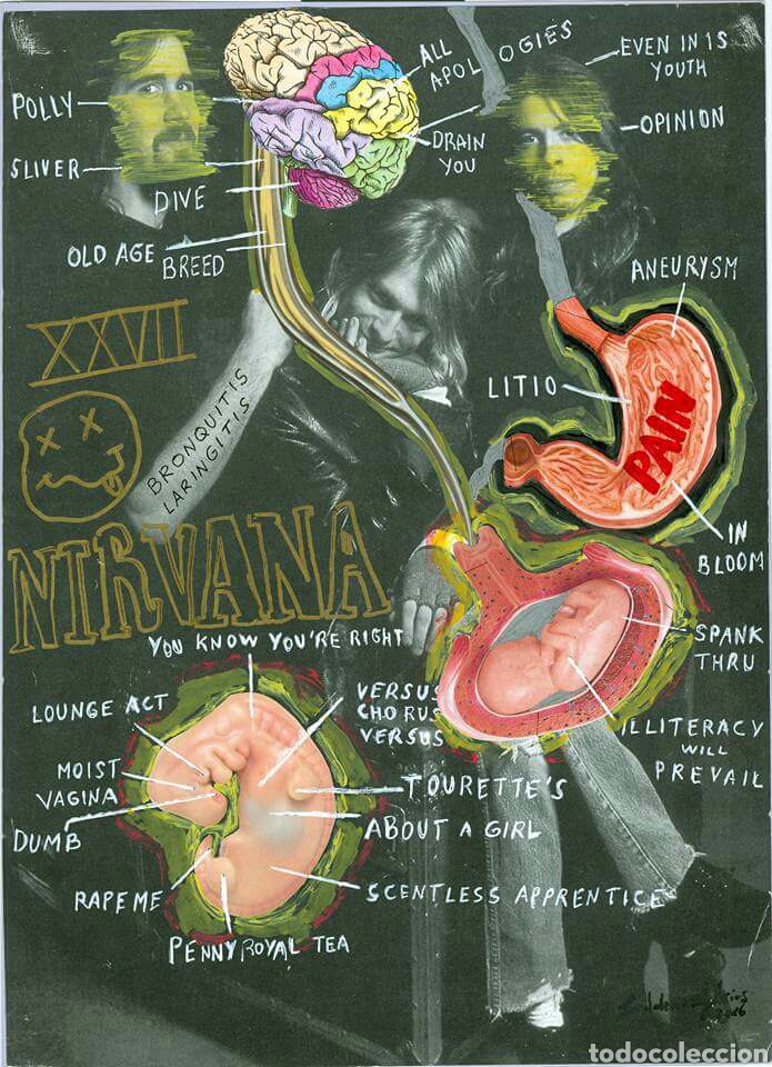 Otros objetos de arte: Nirvana. Kurt Cobain Collage Pain - Foto 1