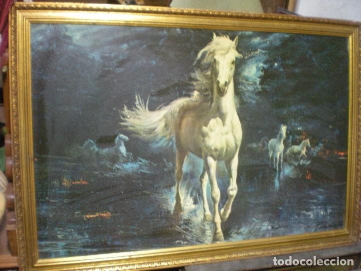 Otros objetos de arte: L&aacute;mina gran tama&ntilde;o de caballos con marco - Foto 1