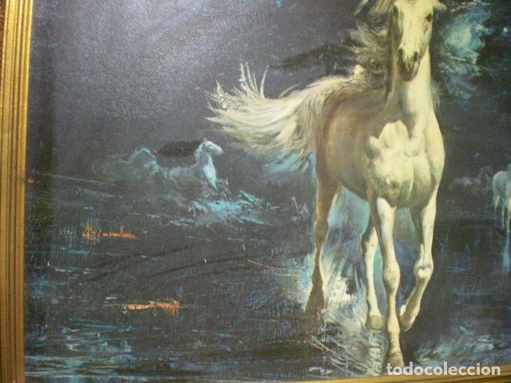 Otros objetos de arte: L&aacute;mina gran tama&ntilde;o de caballos con marco - Foto 2