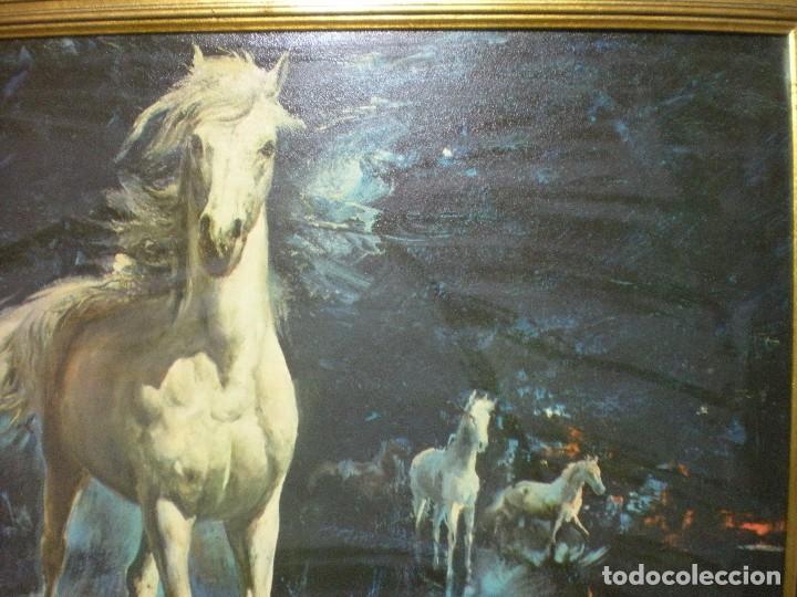Otros objetos de arte: L&aacute;mina gran tama&ntilde;o de caballos con marco - Foto 4