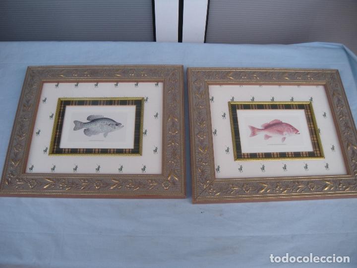 Otros objetos de arte: PAREJA DE CUADROS CON PECES - Foto 1