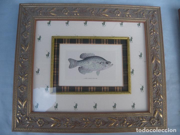 Otros objetos de arte: PAREJA DE CUADROS CON PECES - Foto 2
