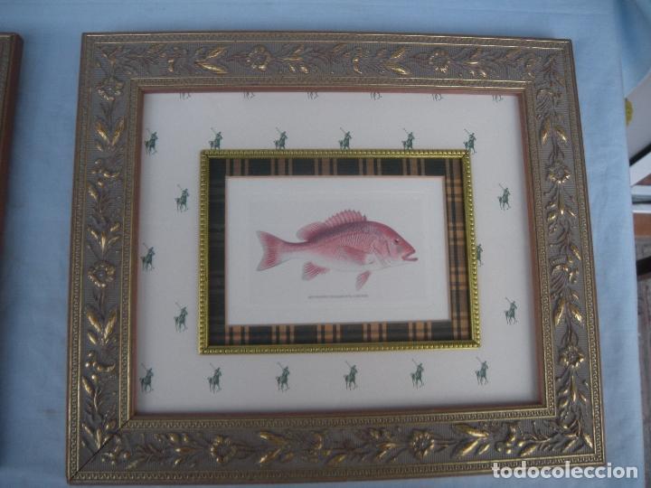 Otros objetos de arte: PAREJA DE CUADROS CON PECES - Foto 3