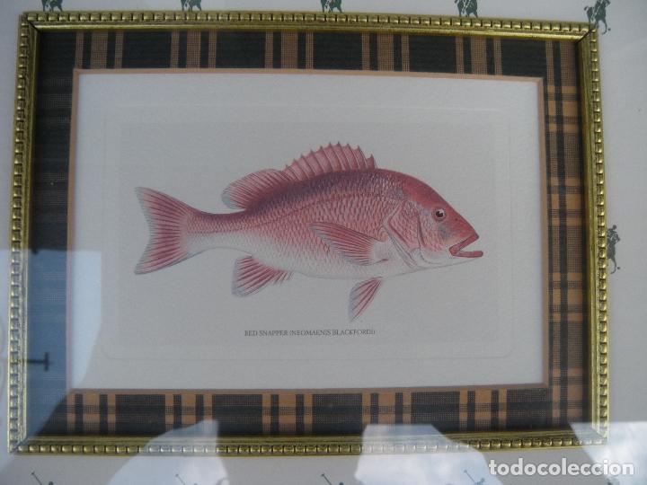 Otros objetos de arte: PAREJA DE CUADROS CON PECES - Foto 4