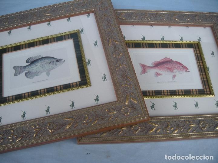 Otros objetos de arte: PAREJA DE CUADROS CON PECES - Foto 8