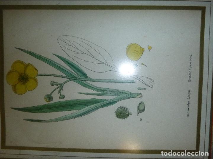 Otros objetos de arte: MARCO TALLADO TIPO BARROCO - Foto 2