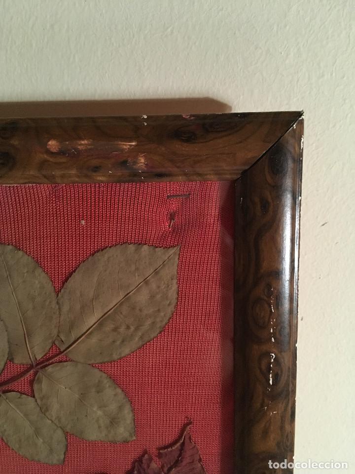 Otros objetos de arte: CUADRO HOJAS SECAS - Foto 4