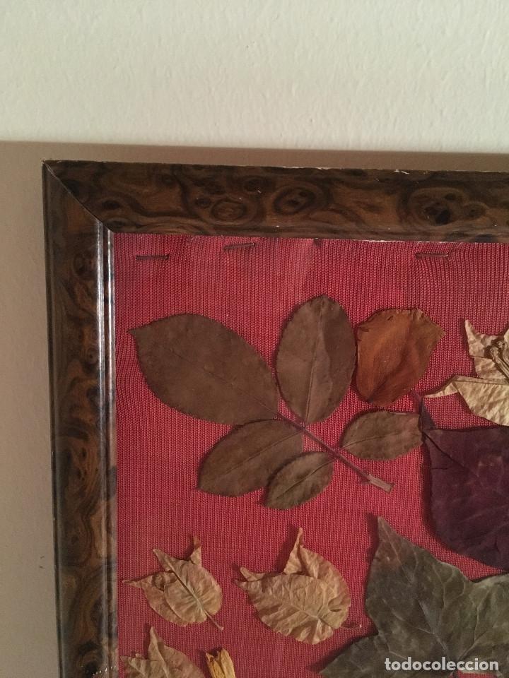 Otros objetos de arte: CUADRO HOJAS SECAS - Foto 5