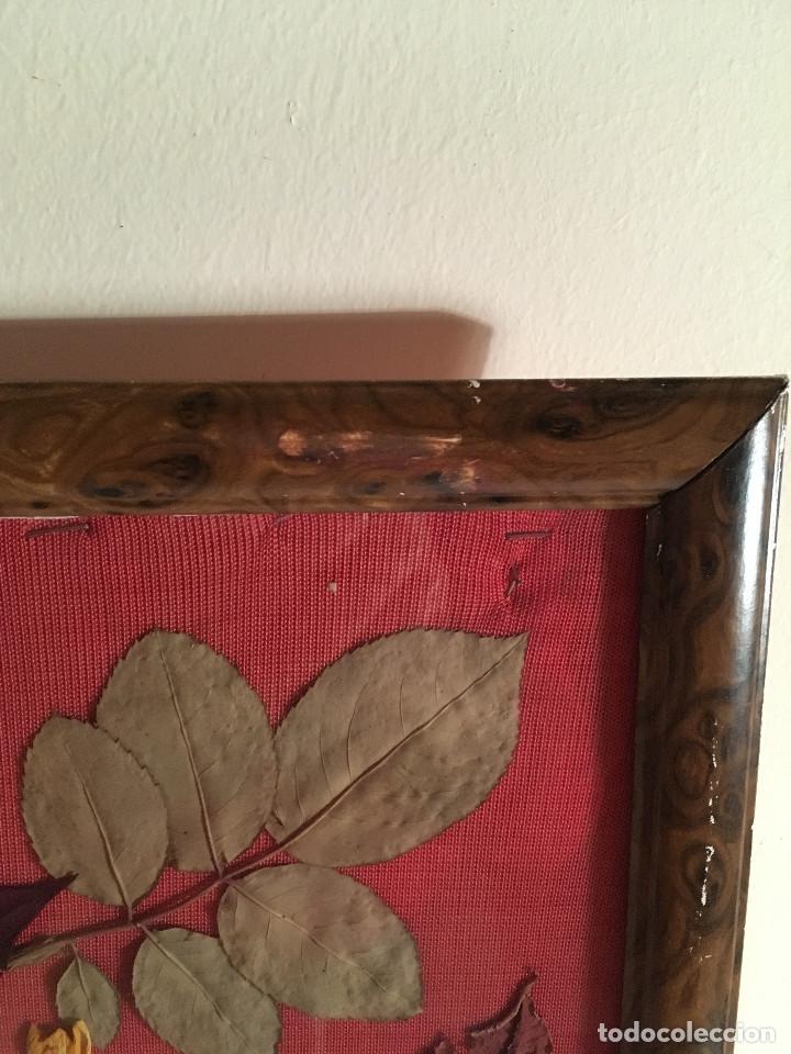 Otros objetos de arte: CUADRO HOJAS SECAS - Foto 9