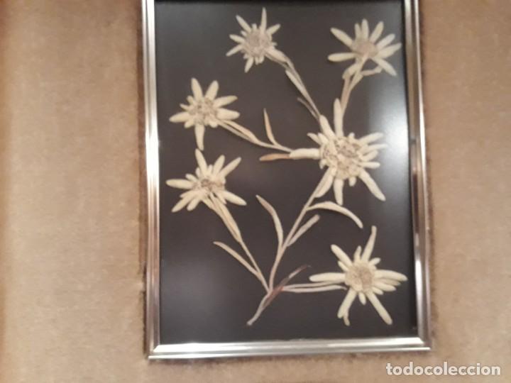 Otros objetos de arte: CUADRO FLORES EDELWEISS - Foto 1