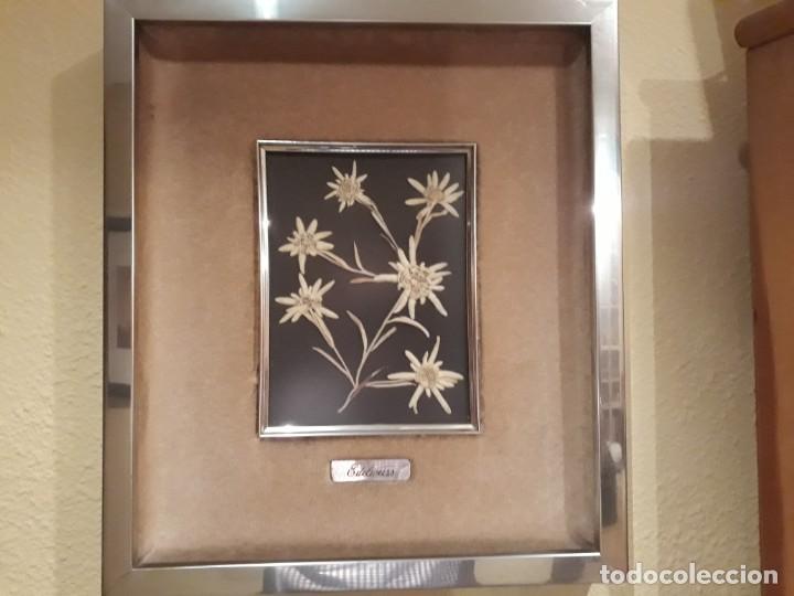 Otros objetos de arte: CUADRO FLORES EDELWEISS - Foto 2
