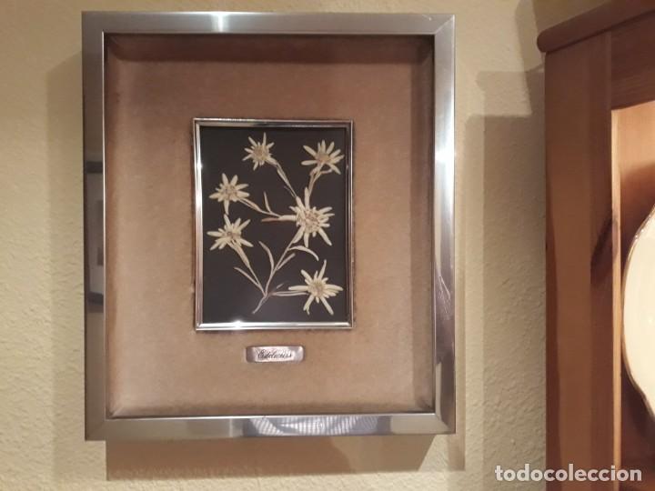 Otros objetos de arte: CUADRO FLORES EDELWEISS - Foto 3