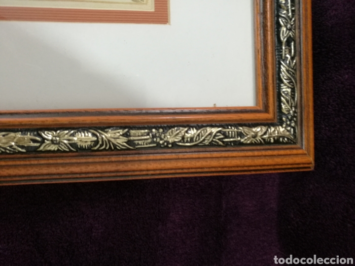 Otros objetos de arte: Cuadro de seto en maceta - Foto 3