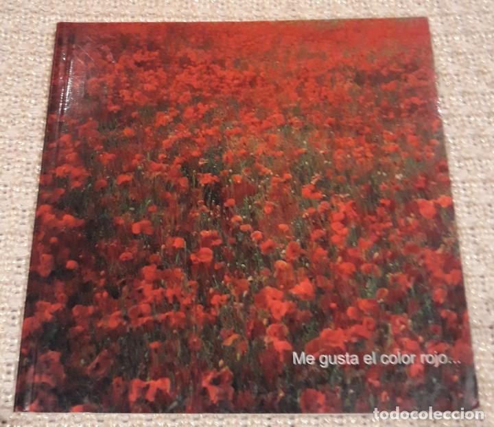 Otros objetos de arte: IMANOL MARROD&Aacute;N - Foto 1