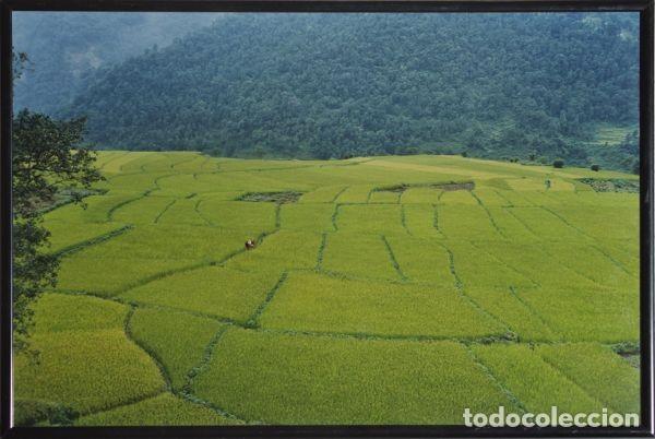 Otros objetos de arte: Nepal. L&aacute;mina. Autor: MORENO, Francisco - Foto 1