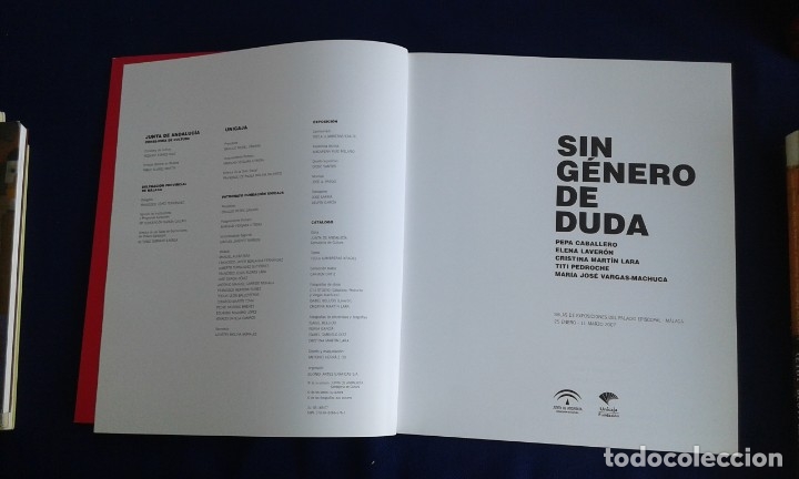 Otros objetos de arte: SIN GENERO DE DUDAS, SALAS DE EXPOSICIONES DEL PALACIO EPISCOPAL M&Aacute;LAGA 2007 - Foto 2