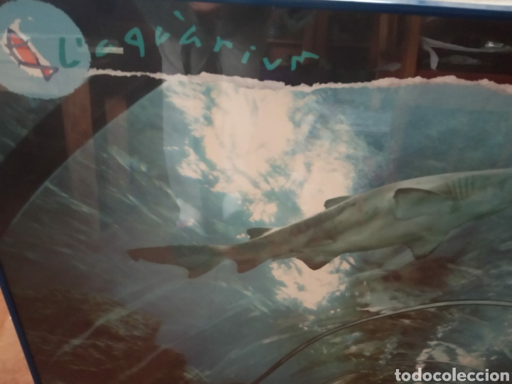 Otros objetos de arte: Cuadro Laquarium de Barcelona - Foto 4