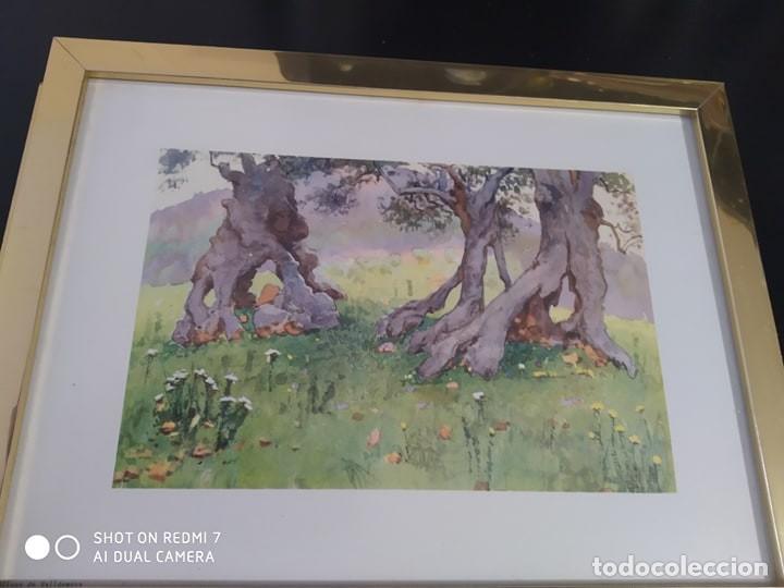 Otros objetos de arte: cuadro grabado Mallorca Olivos de Valldemosa - Foto 1