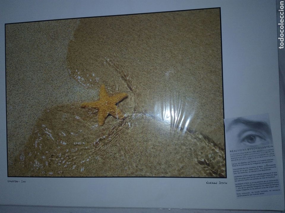 Otros objetos de arte: L&aacute;mina starfish 2001 de Norman Stein - Foto 1