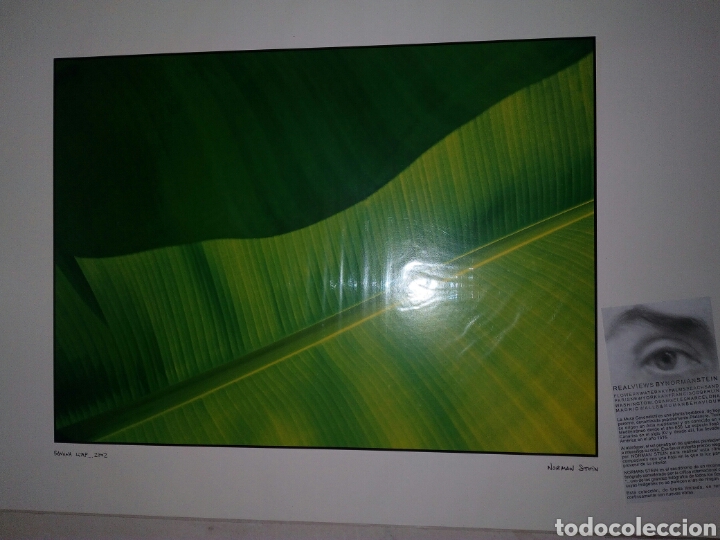 Otros objetos de arte: L&aacute;mina banana leaf 2002 de Norman Stein - Foto 1