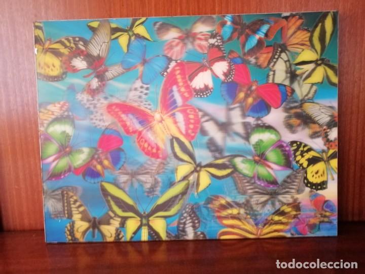Otros objetos de arte: CUADRO MARIPOSAS 3D - Foto 2