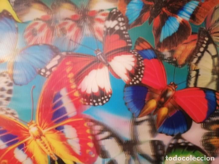 Otros objetos de arte: CUADRO MARIPOSAS 3D - Foto 5