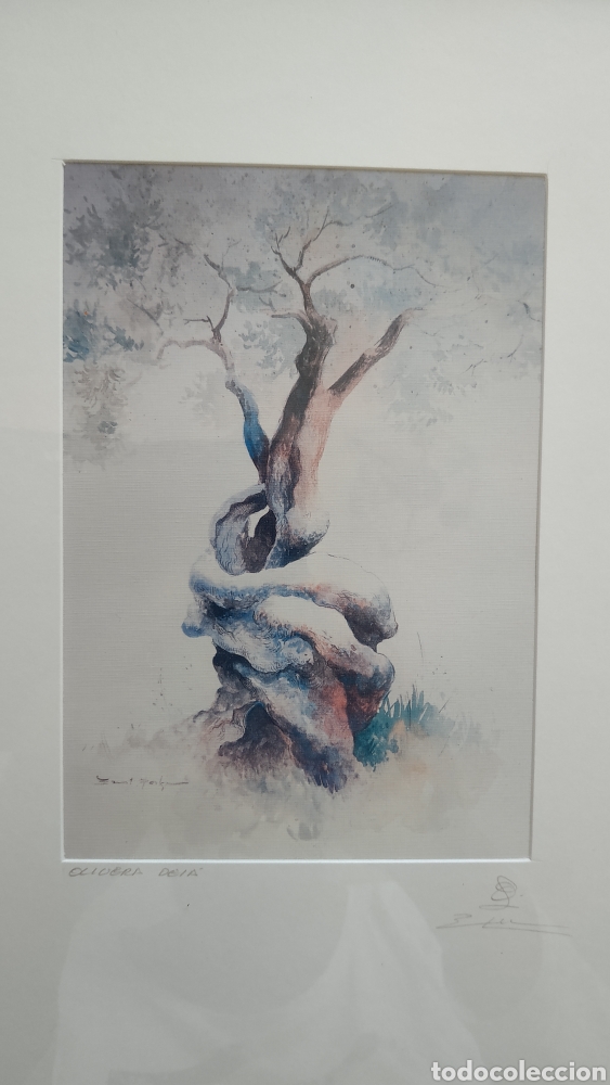Otros objetos de arte: Cuadro con l&aacute;mina de Olivo - Foto 2
