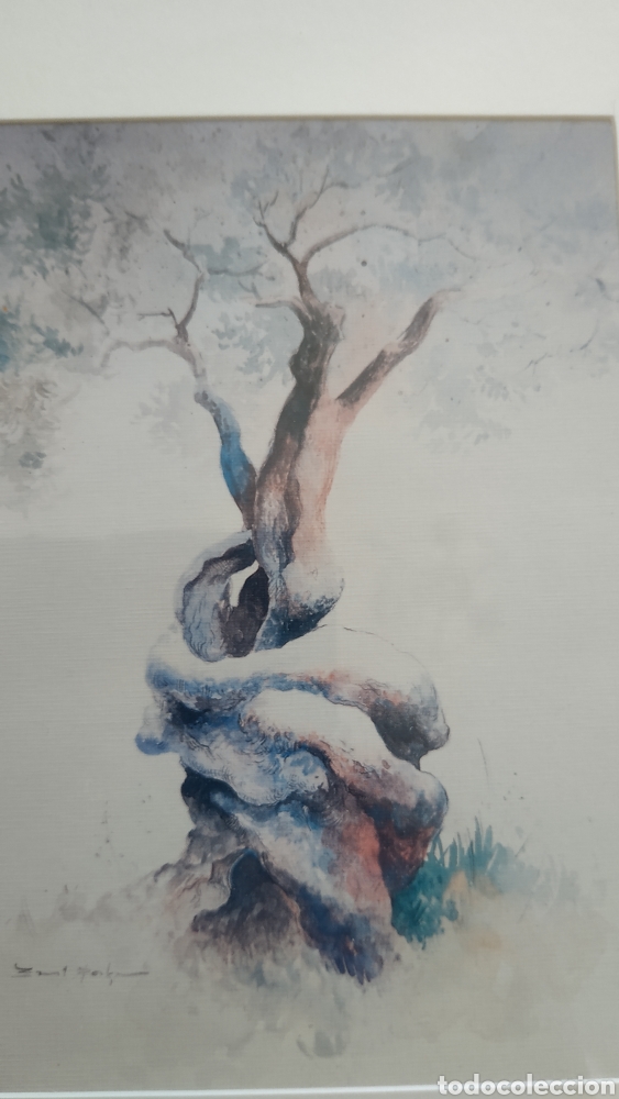 Otros objetos de arte: Cuadro con l&aacute;mina de Olivo - Foto 3