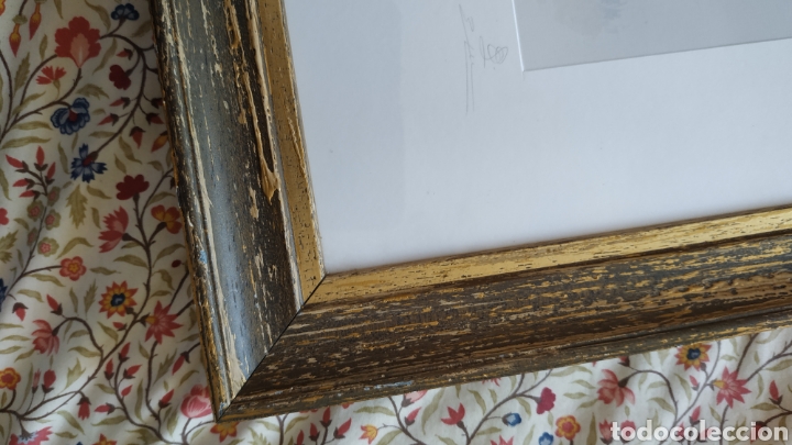 Otros objetos de arte: Cuadro con l&aacute;mina de Olivo - Foto 5