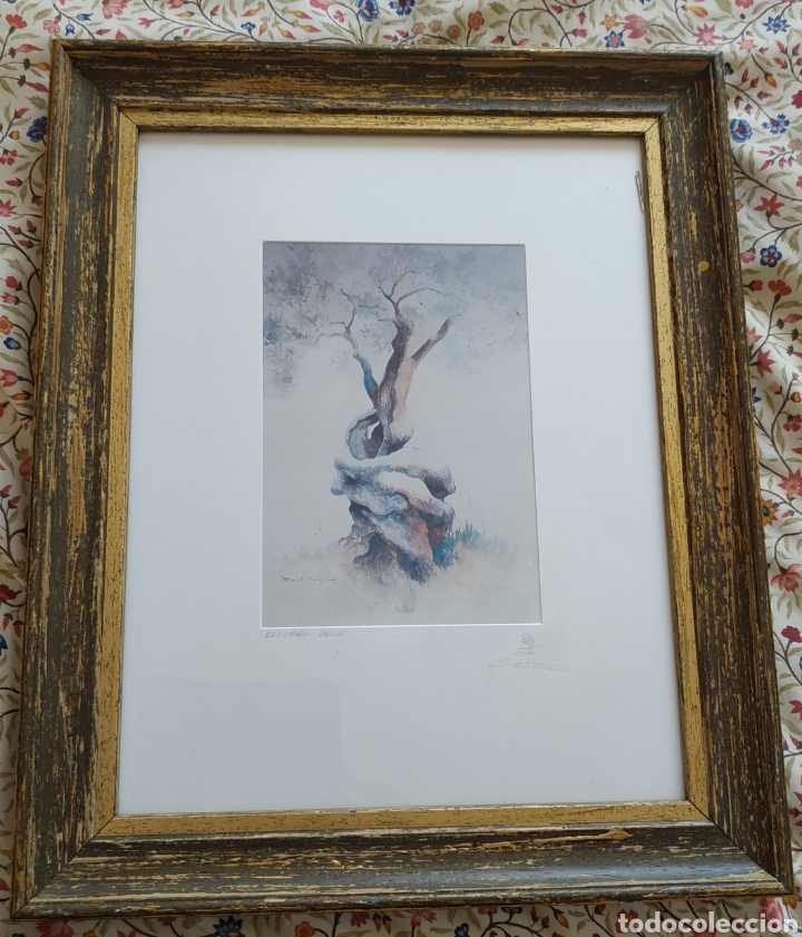 Otros objetos de arte: Cuadro con l&aacute;mina de Olivo - Foto 1