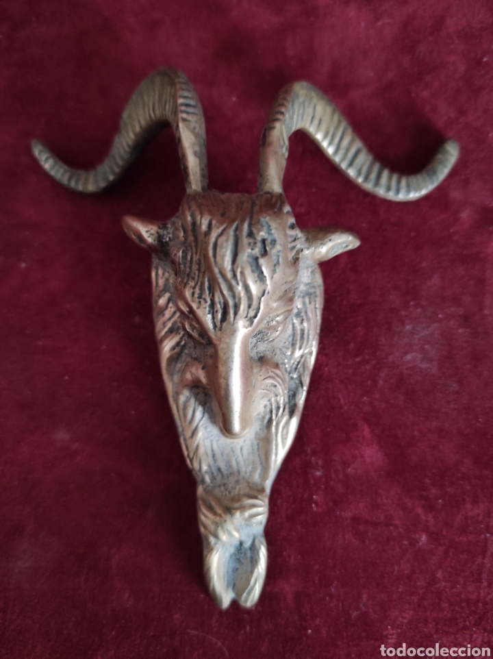 Otros objetos de arte: Cabeza de chivo - Foto 1
