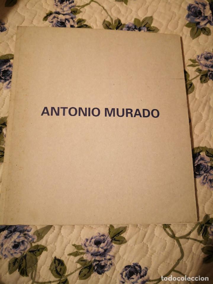 Otros objetos de arte: ANTONIO MURADO LIBRO COLECCION LIBROS ARTE - Foto 1