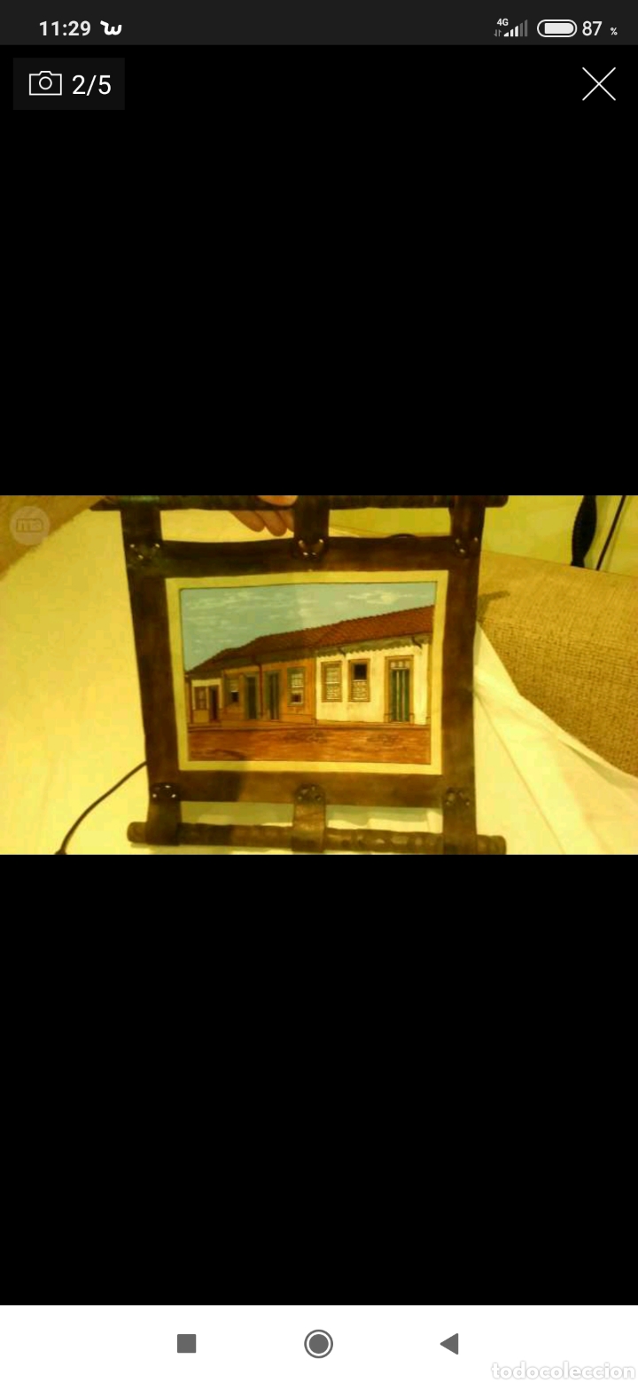 Otros objetos de arte: Cuadro Piel Brasil - Foto 2