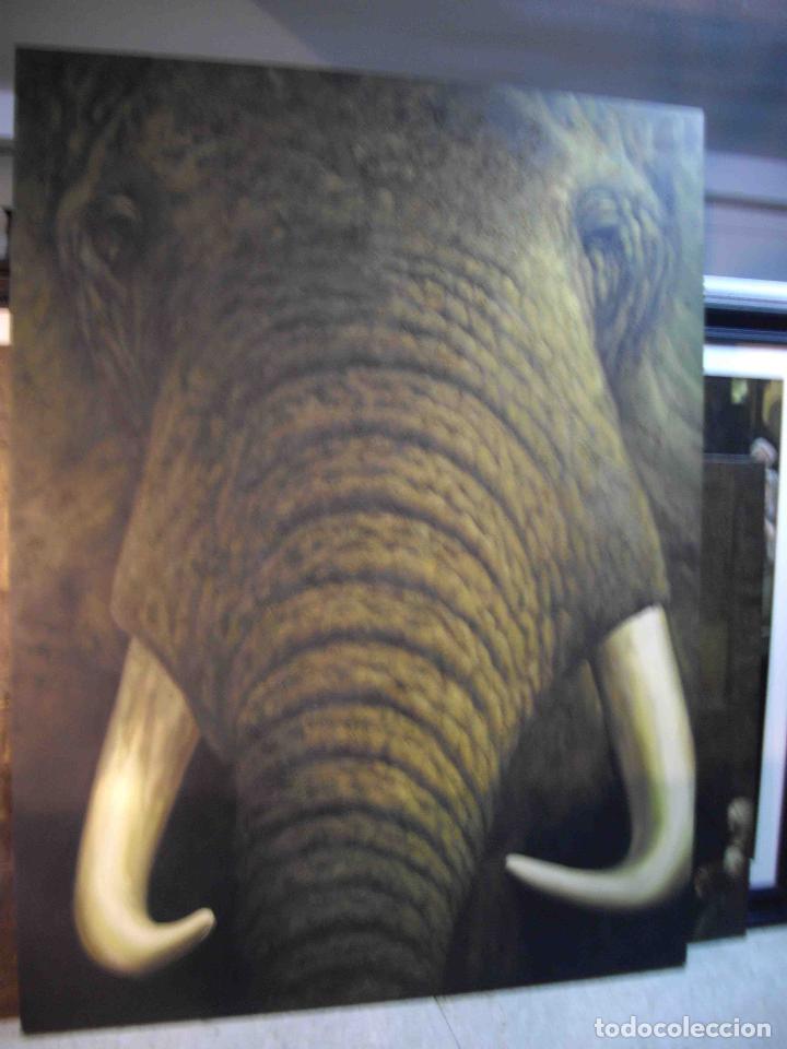 Otros objetos de arte: OLEO SOBRE LIENZO ELEFANTE - Foto 2