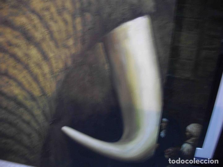 Otros objetos de arte: OLEO SOBRE LIENZO ELEFANTE - Foto 6