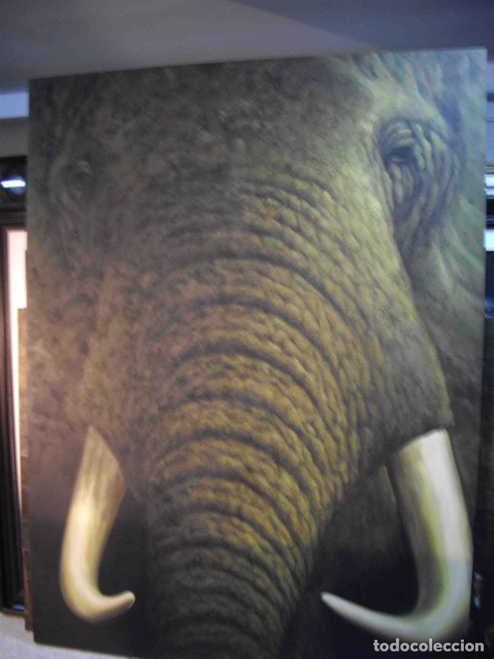 Otros objetos de arte: OLEO SOBRE LIENZO ELEFANTE - Foto 1