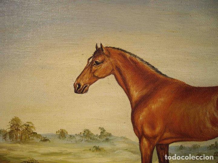 Otros objetos de arte: OLEO SOBRE LIENZO PURASANGRE MARRON II - Foto 2