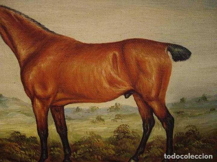 Otros objetos de arte: OLEO SOBRE LIENZO PURASANGRE MARRON II - Foto 3
